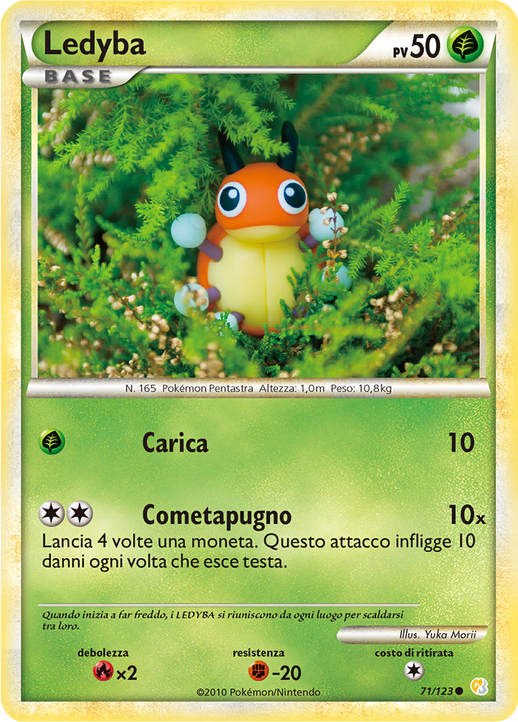 Ledyba #71