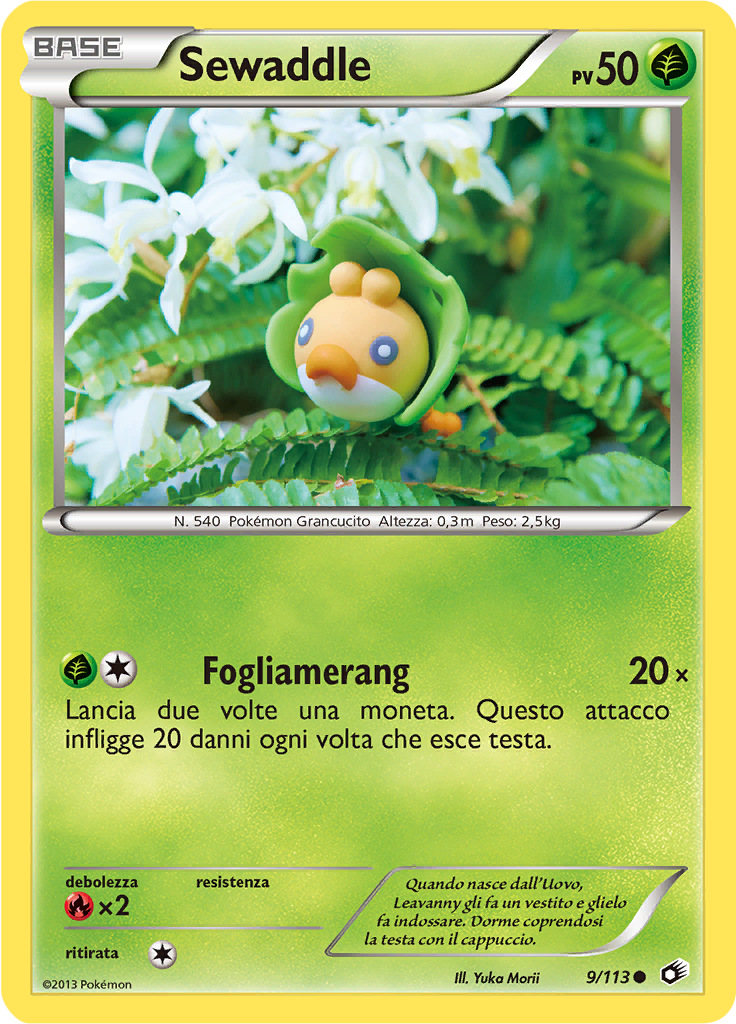 Sewaddle #9