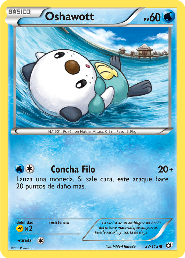 Oshawott #37