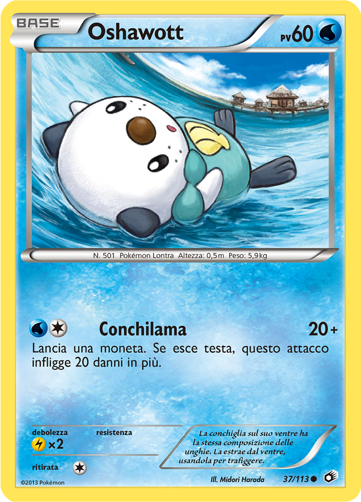 Oshawott #37