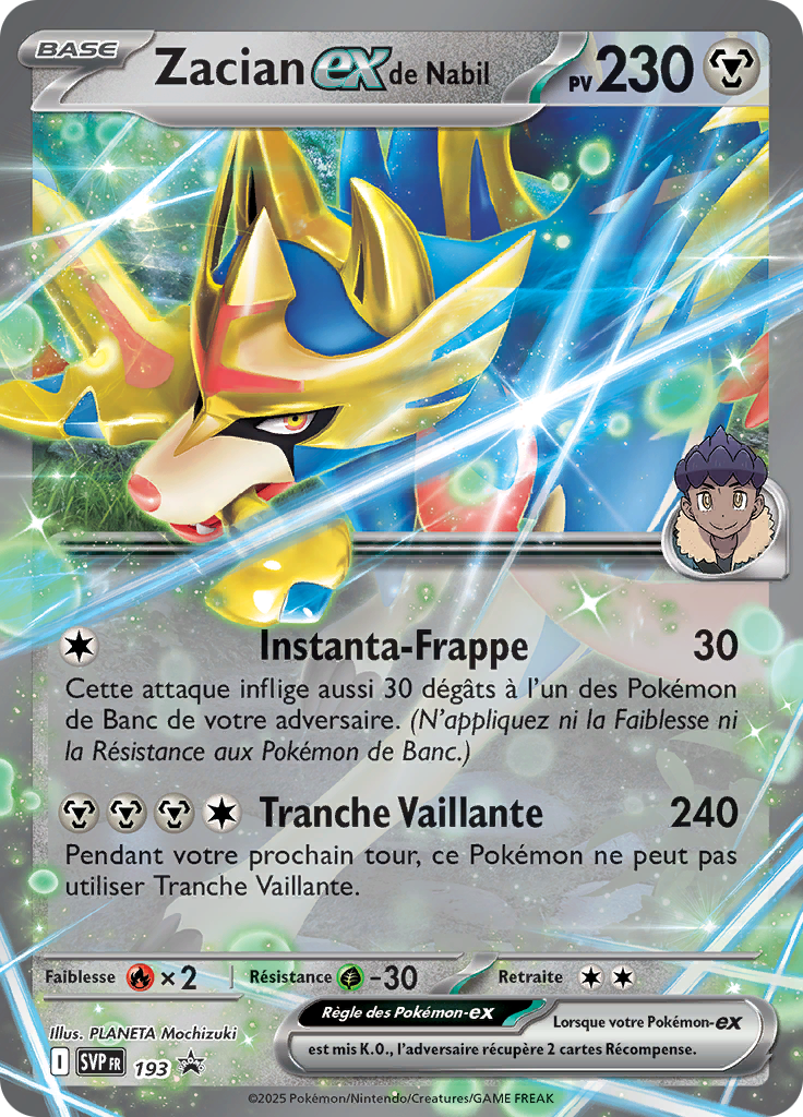 Hop's Zacian ex #193