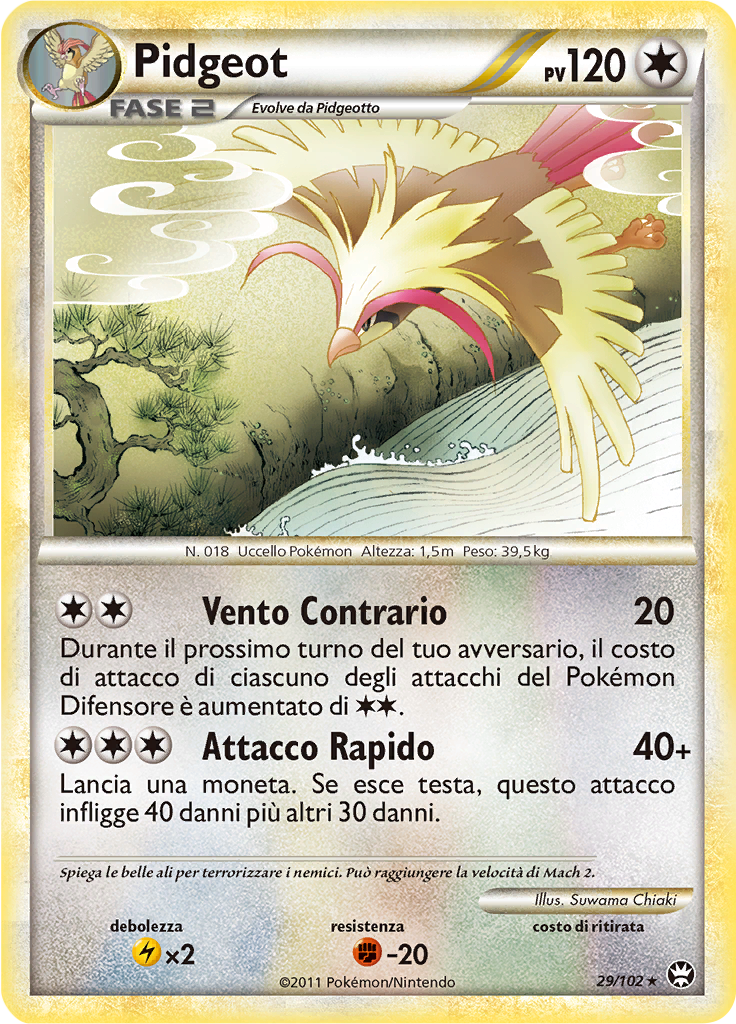 Pidgeot #29