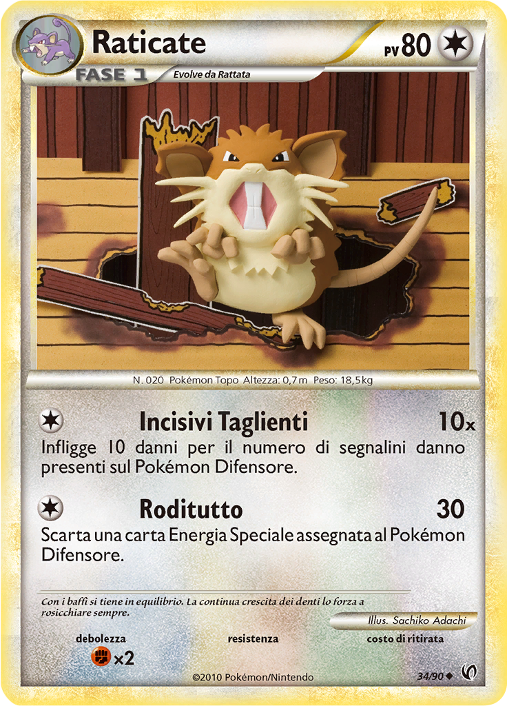 Raticate #34
