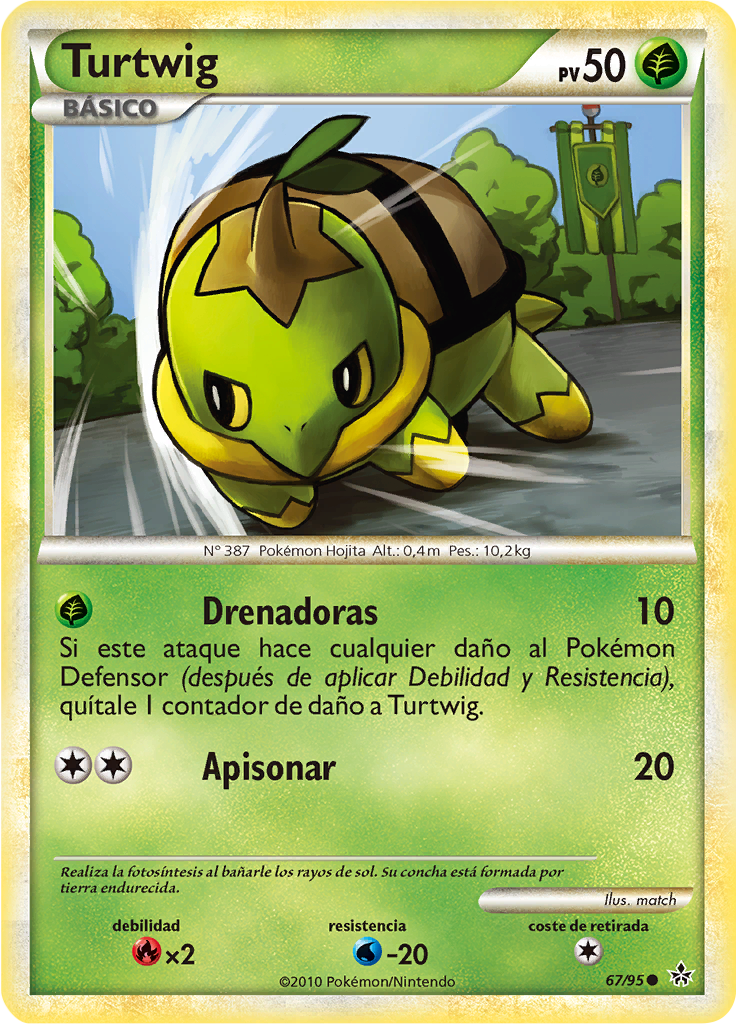 Turtwig #67