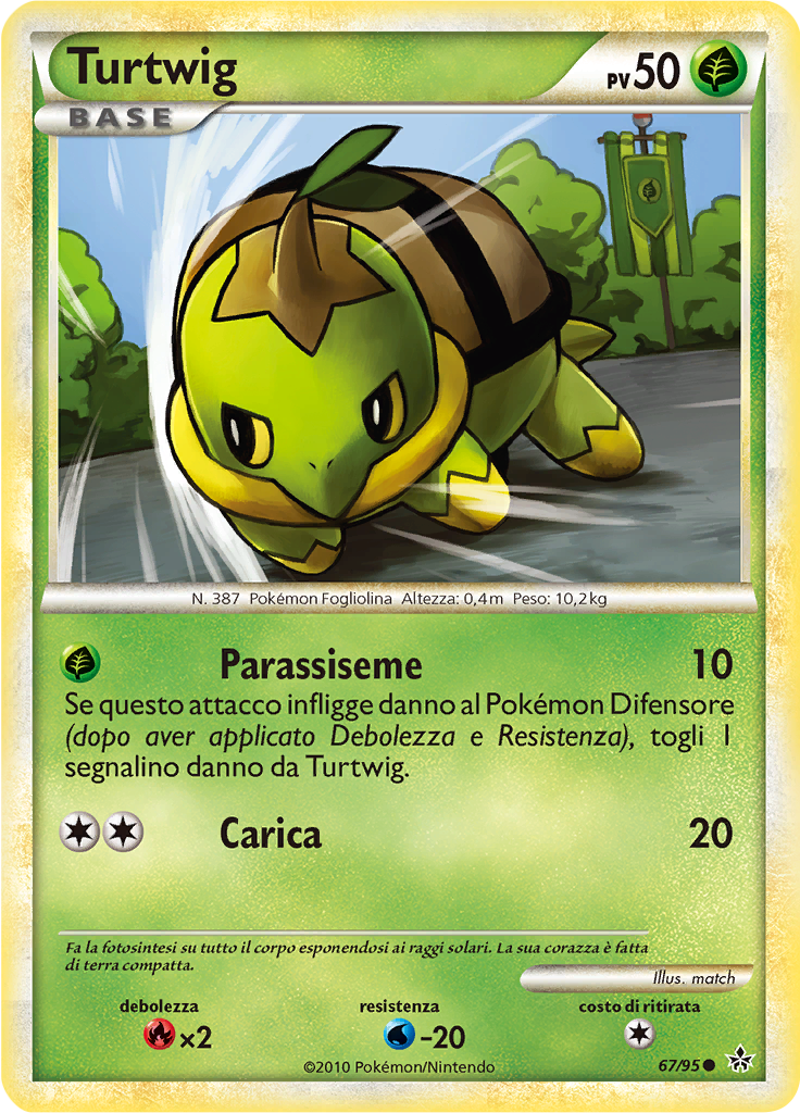 Turtwig #67
