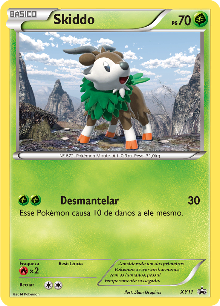 Skiddo #11