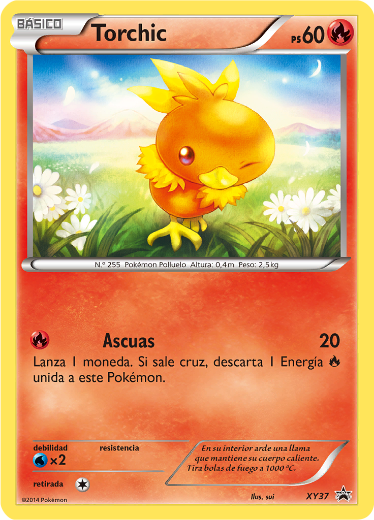 Torchic #37