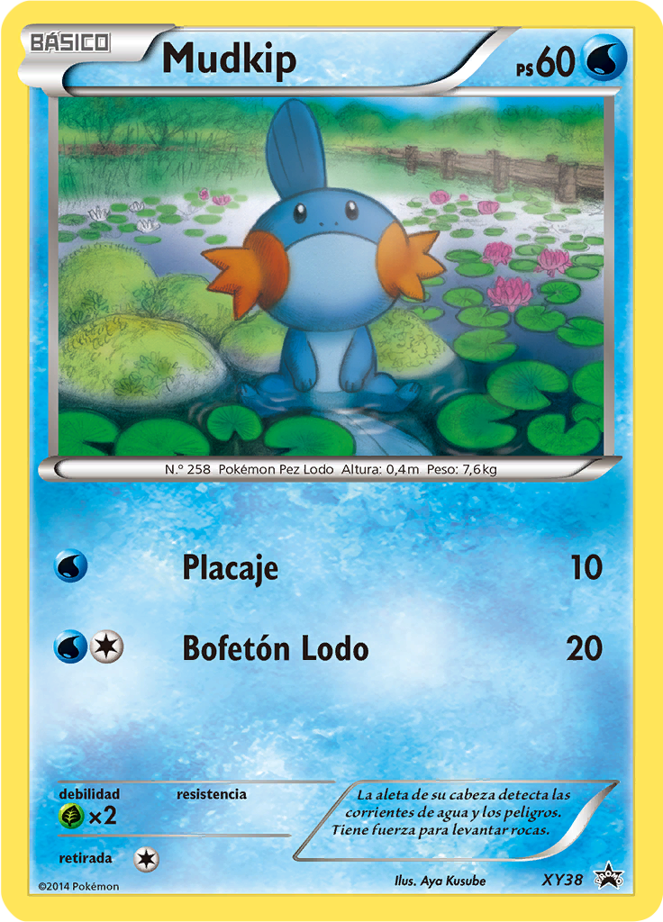 Mudkip #38