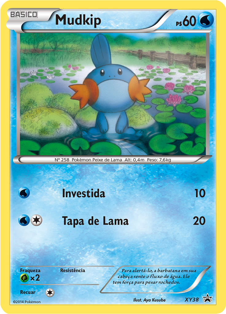 Mudkip #38