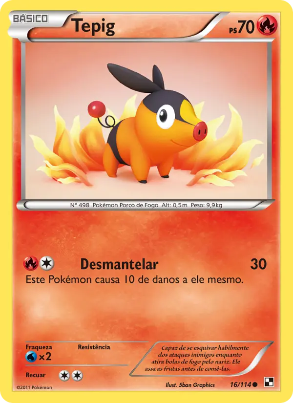 Tepig #16