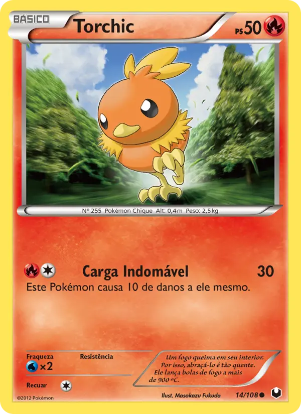 Torchic #14