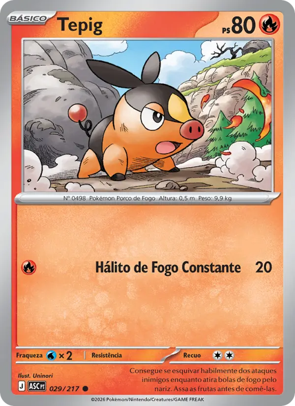 Tepig #029