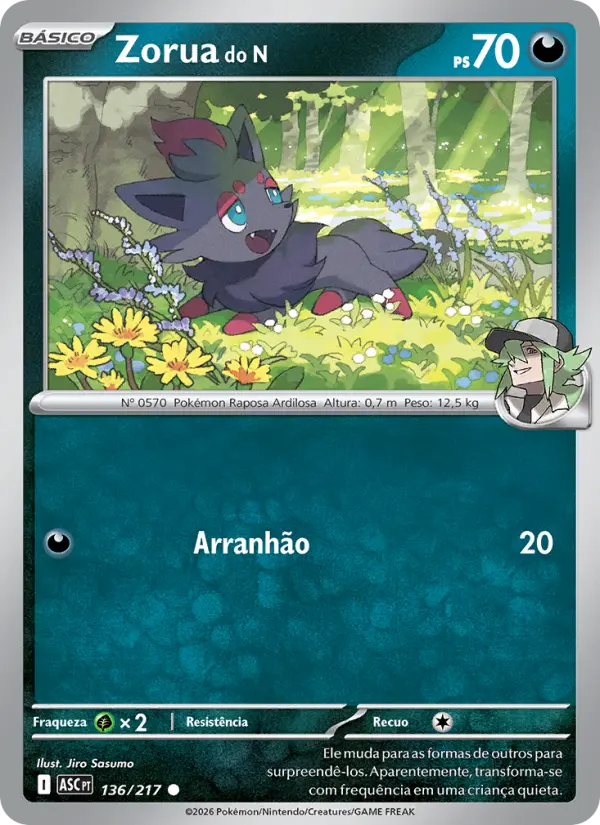 Zorua do N #136