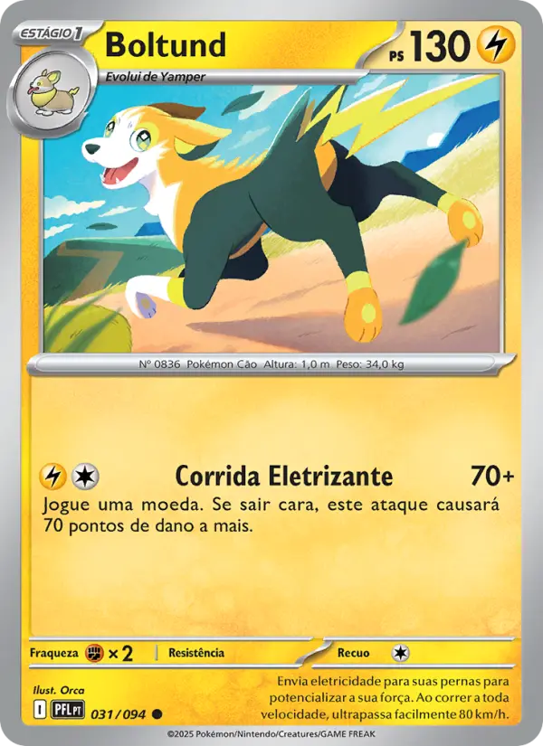 Boltund #031