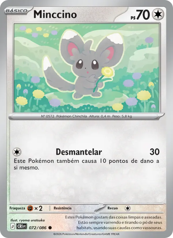 Minccino #072