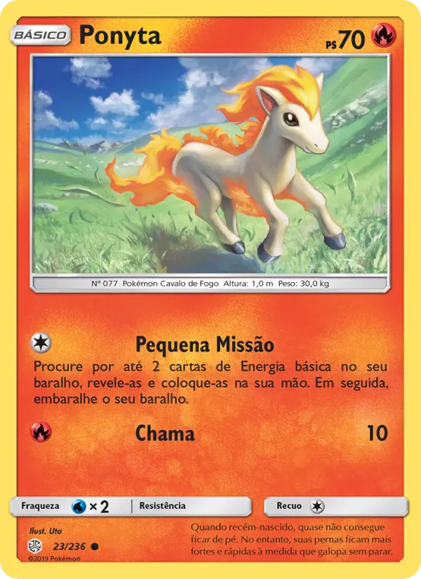 Ponyta #23