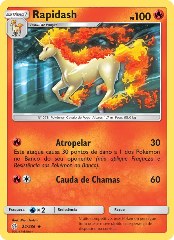Rapidash #24