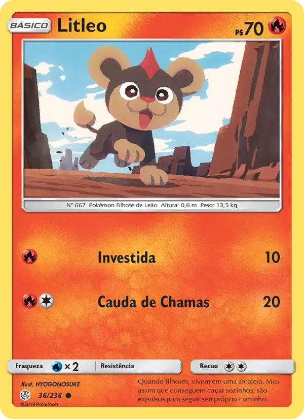 Litleo #36