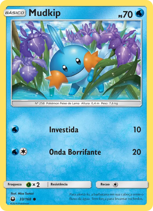 Mudkip #33
