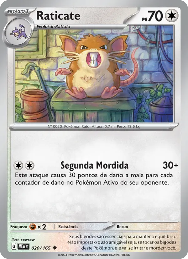 Raticate #020