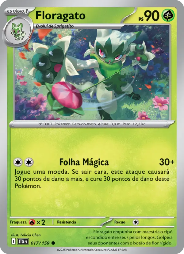 Floragato #017