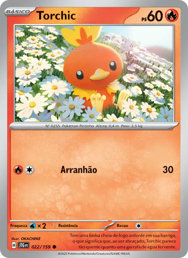 Torchic #022
