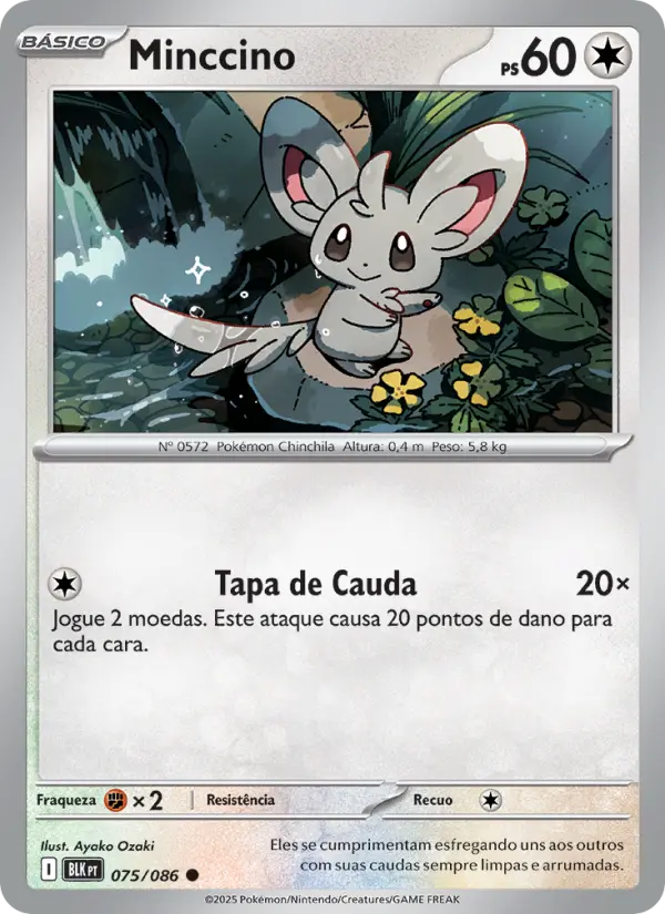 Minccino #075