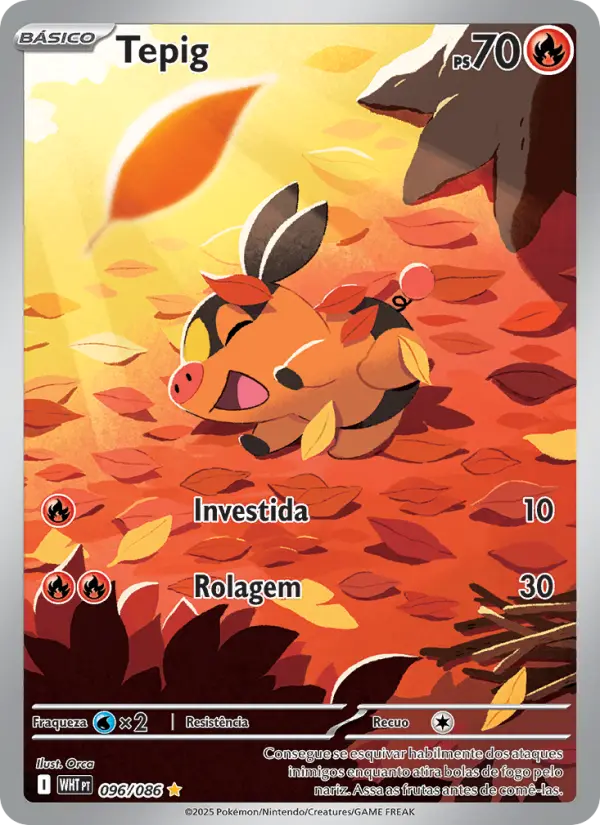 Tepig #096