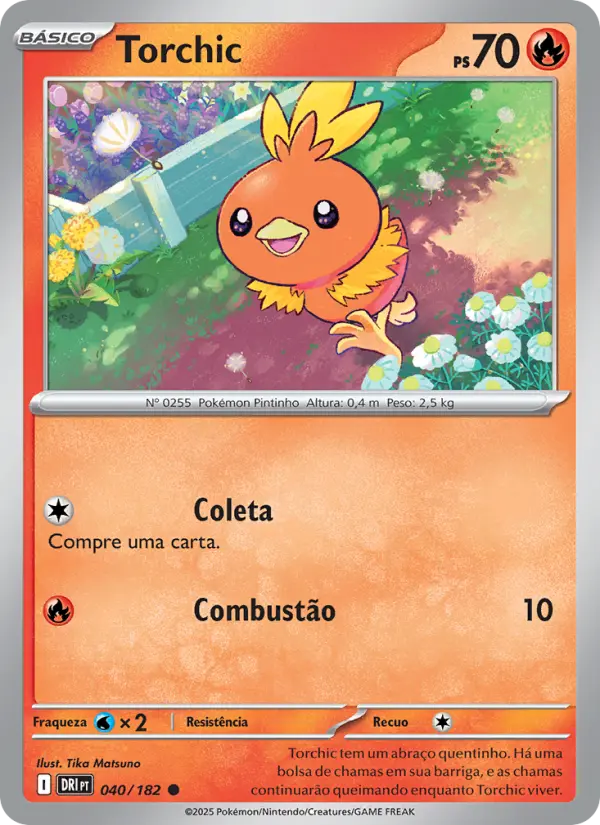 Torchic #040