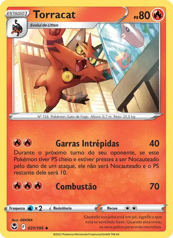 Torracat #031