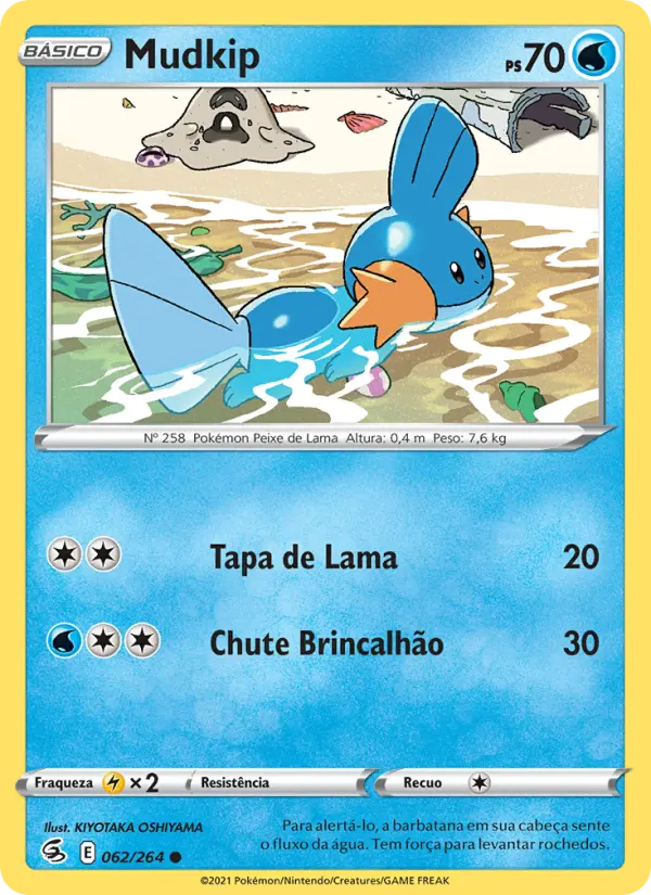 Mudkip #062