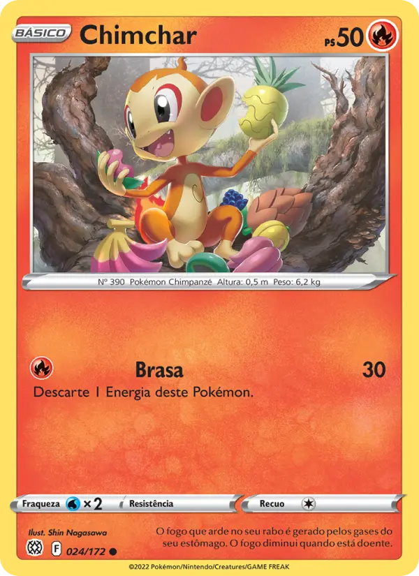 Chimchar #024