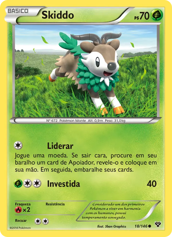 Skiddo #18