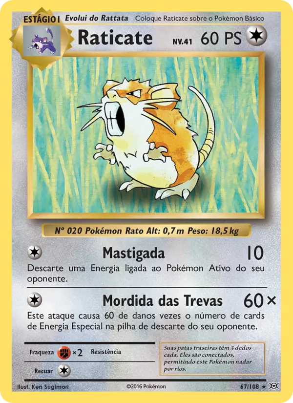 Raticate #67