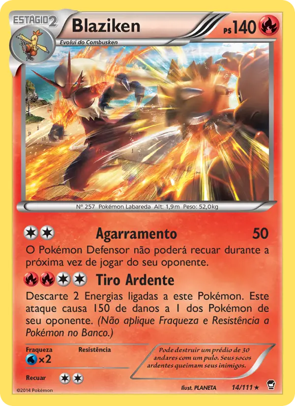 Blaziken #14