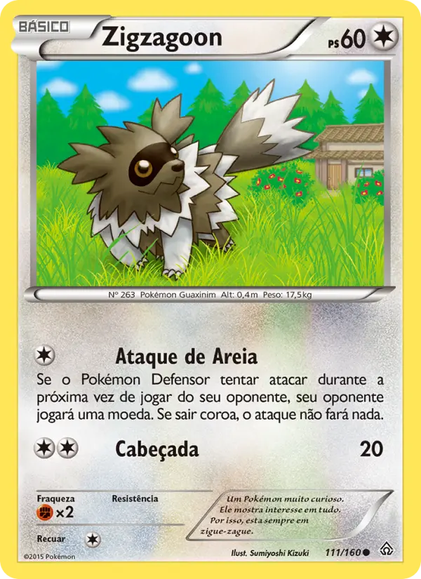 Zigzagoon #111