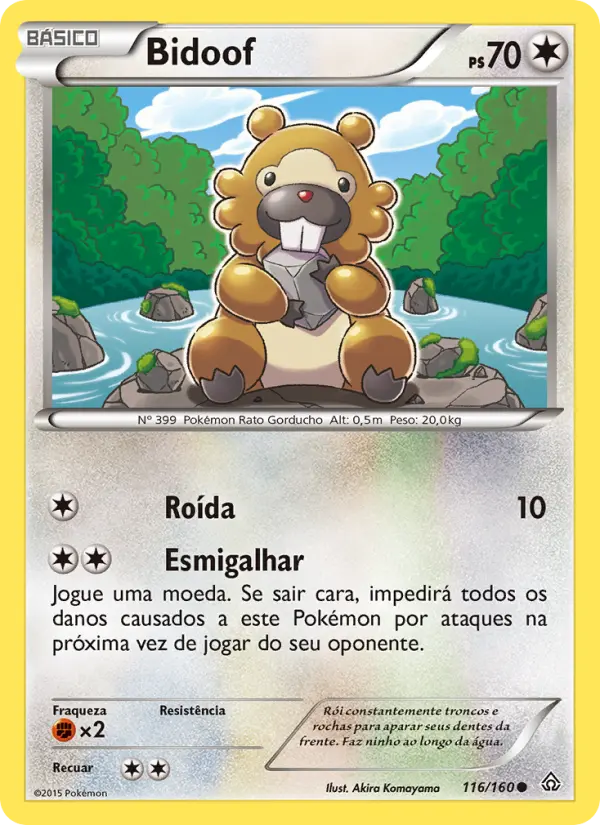 Bidoof #116