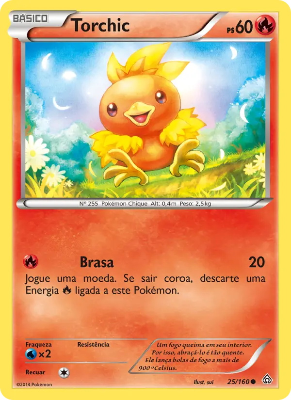 Torchic #25