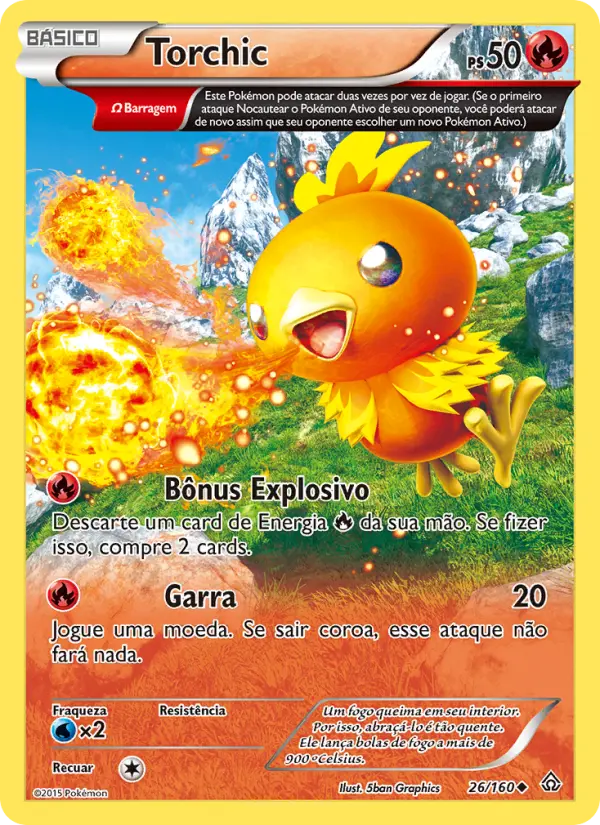 Torchic #26