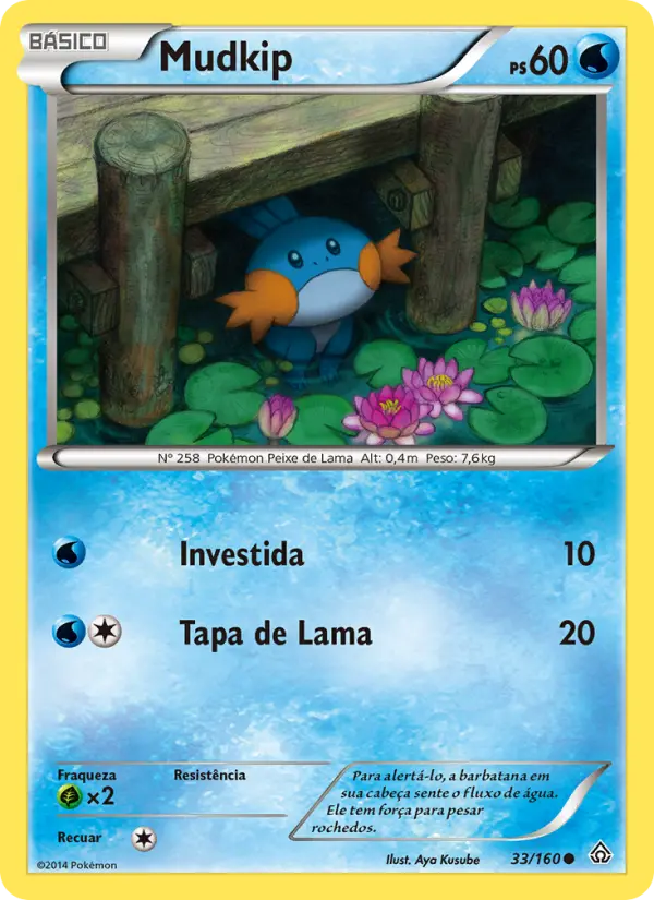 Mudkip #33