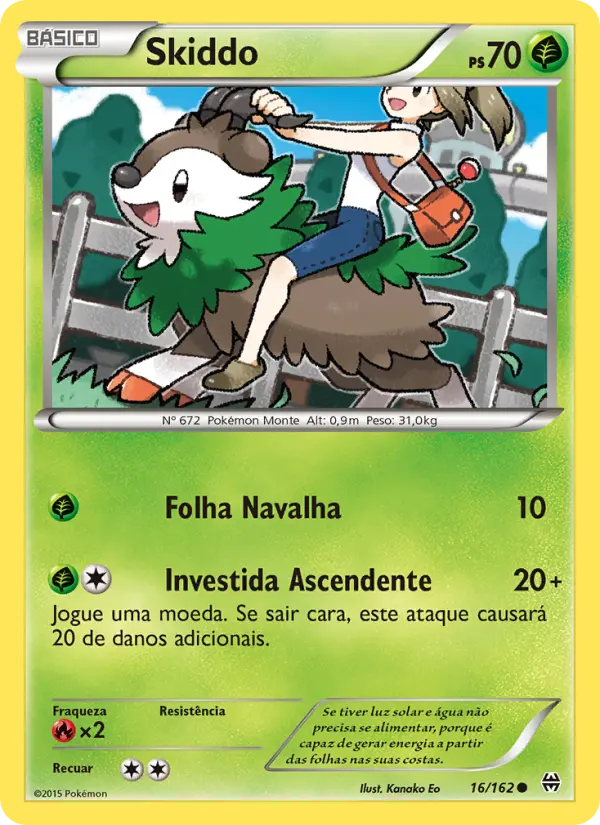 Skiddo #16