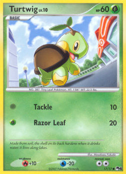 Turtwig Lv.10 #17