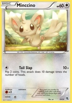 Minccino (TK5 19Z) #null