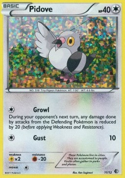 Pidove #11