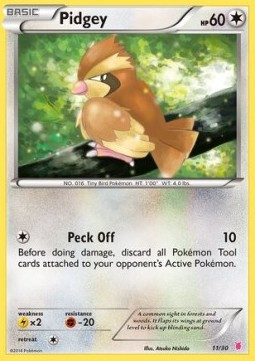 Pidgey (TK7 11W) #null