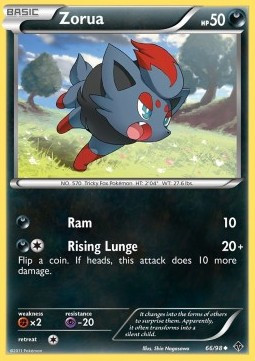 Zorua #11