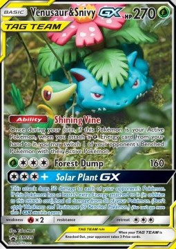 Venusaur y Snivy GX #229