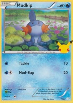 Mudkip #19