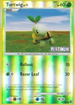 Turtwig Lv.11 #77