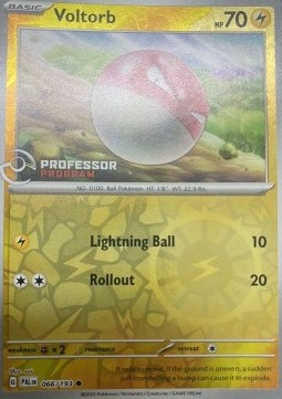 Voltorb #066 — Professor Program